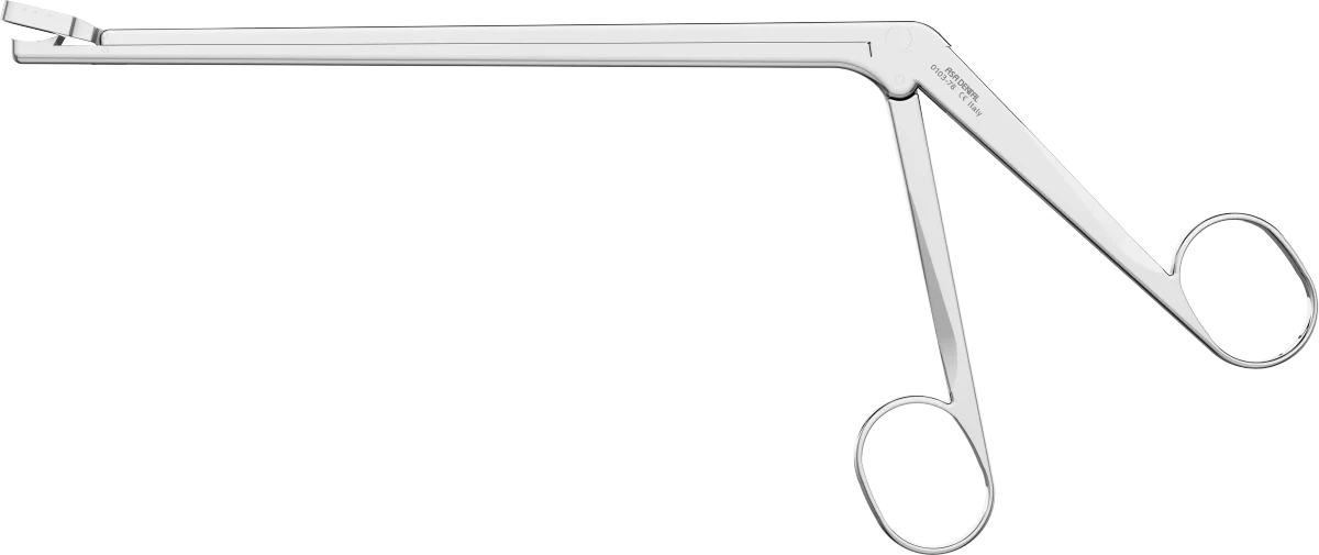 Ulocistomo Tomati cm. 19