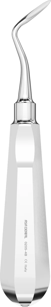Leva Fig. 4B Schmeckebier-Apexo