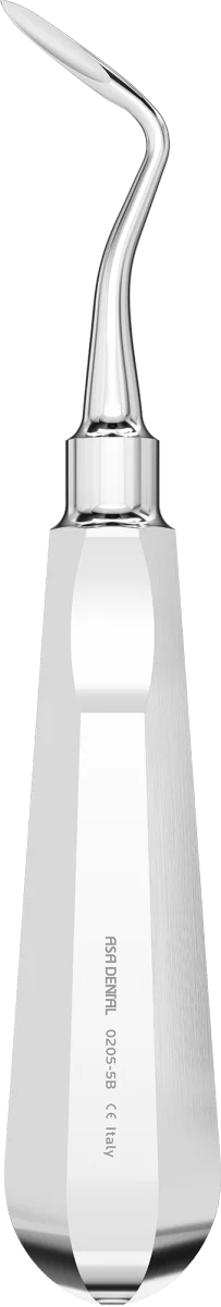 Leva Fig. 5B Schmeckebier-Apexo