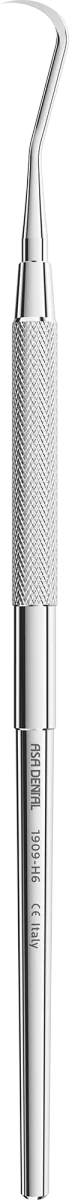 Scaler Fig. H6 Hygienist