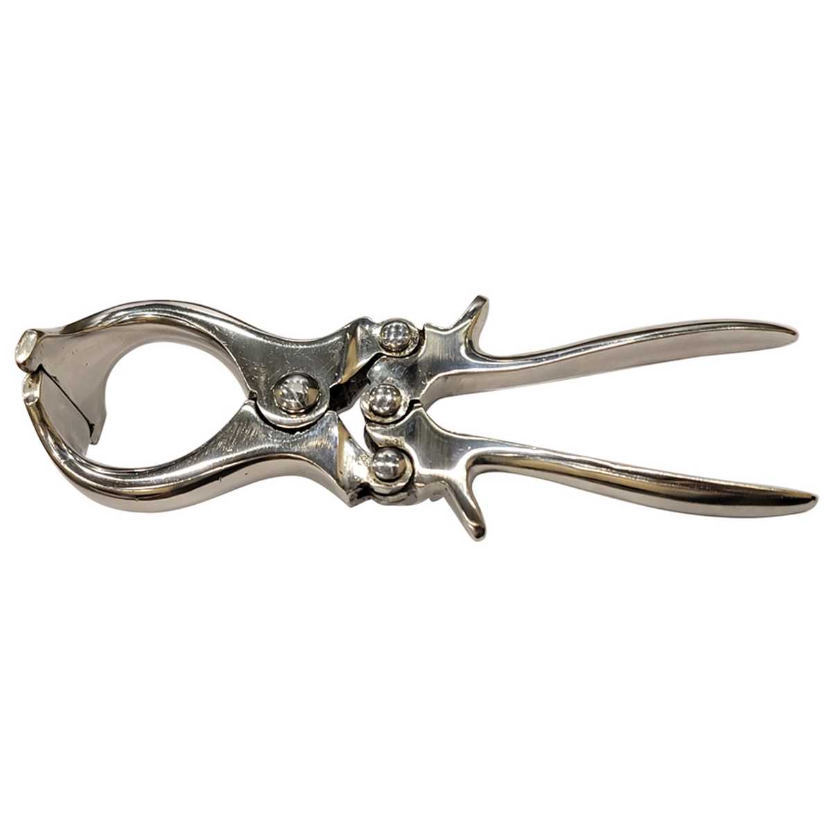 PINZA CASTRAZIONE BURDIZZO – 22 cm