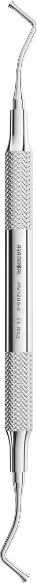 Otturatore Fig. 2 Ward