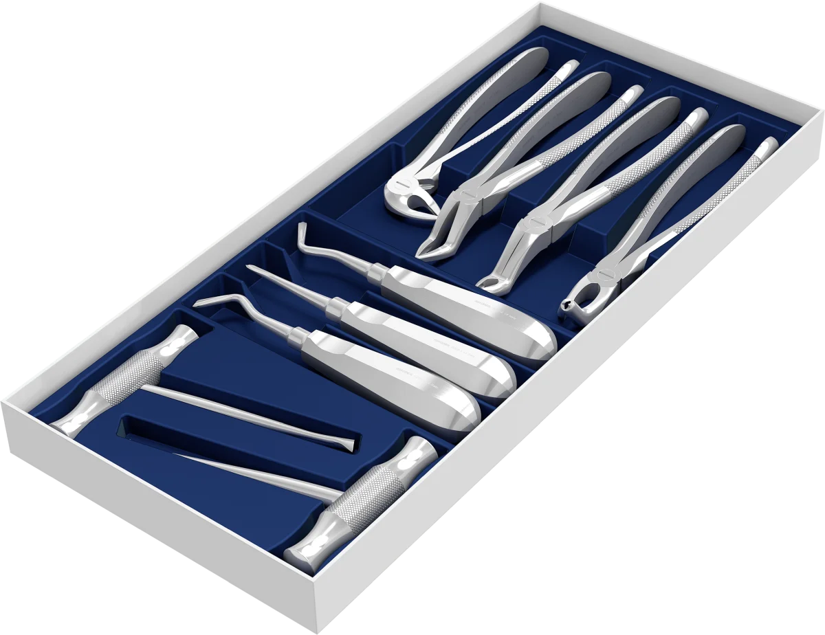 Set 4 pinze + 5 Leve per radici